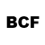 Brooklyn College Foundation